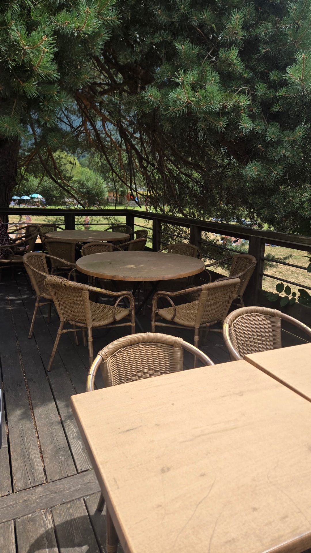 Le nouveau coin en terrasse avec ses tables sous les pins